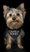 Game of Thrones 'Game Of Bones' Dog Bandana